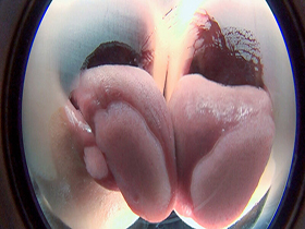 淫語 唾責めバーチャルレズキス　サンプル画像15